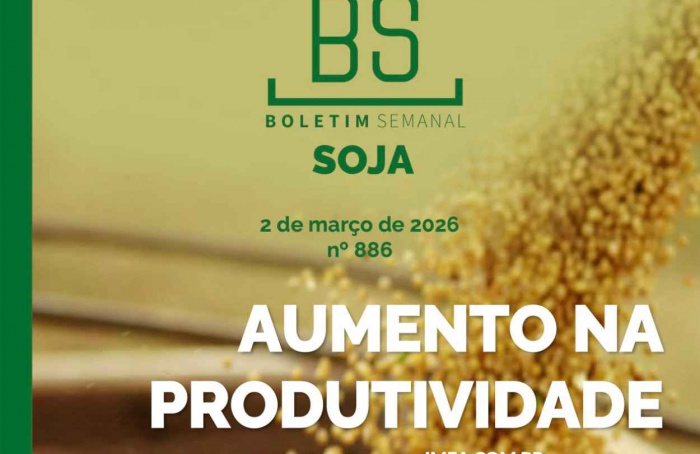 MT Safra 2025/26: Imea projeta recorde em soja