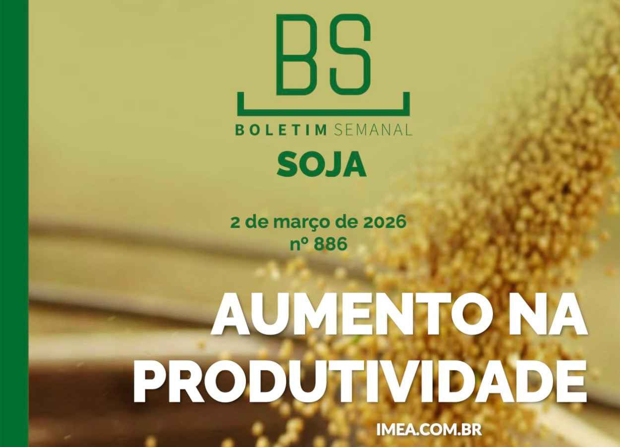 MT Safra 2025/26: Imea projeta recorde em soja