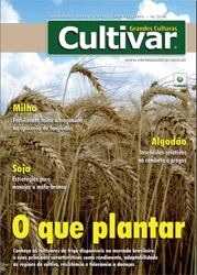 O que plantar