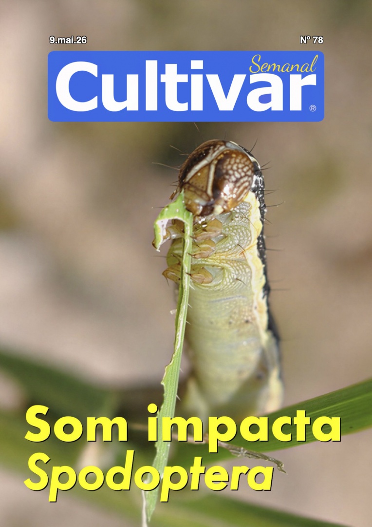 Cultivar Semanal 78