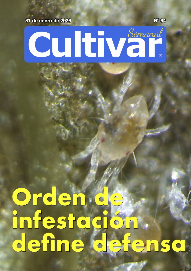 Cultivar Semanal 64