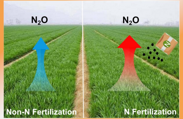 Estudo melhora a compreensão sobre emissões globais de óxido nitroso em solos agrícolas