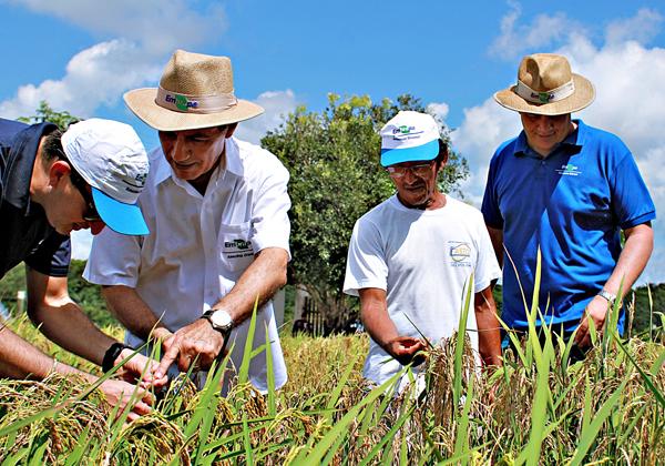 Especialistas debatem o futuro da pesquisa agropecuária na Amazônia