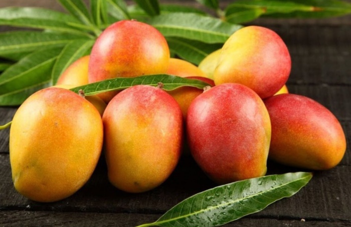 Fim do tarifaço traz alívio para o setor de hortifrútis