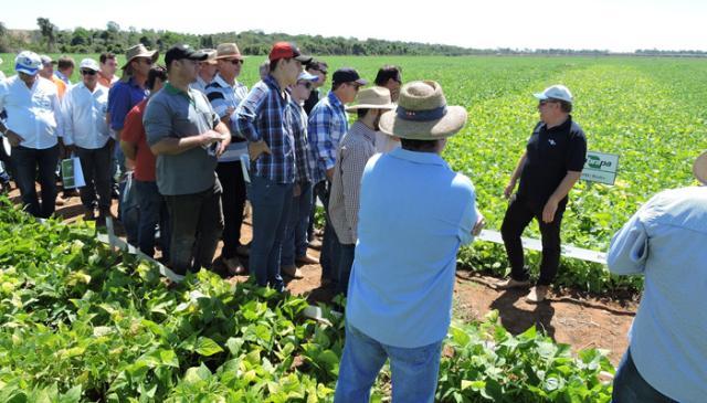 Dia de campo aborda o cultivo do feijão irrigado em Mato Grosso