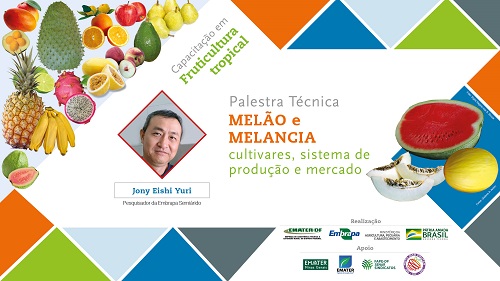 Melão e melancia encerram Capacitação em Fruticultura Tropical