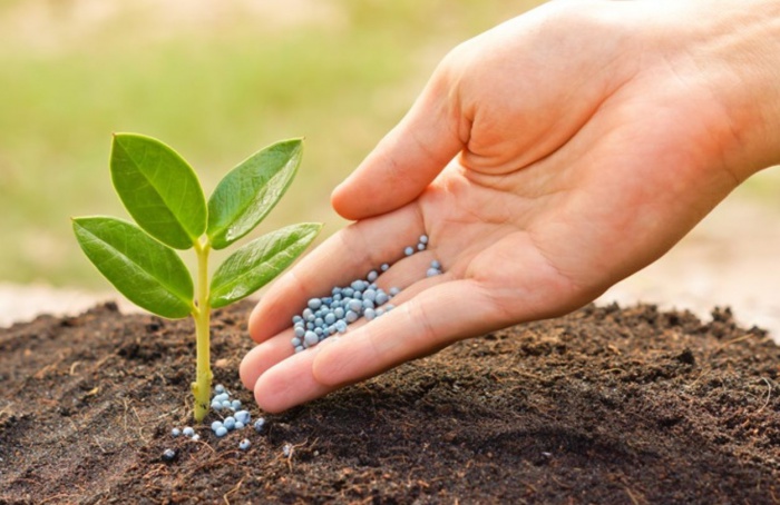 Risco de restrição preocupa o mercado global de fertilizantes