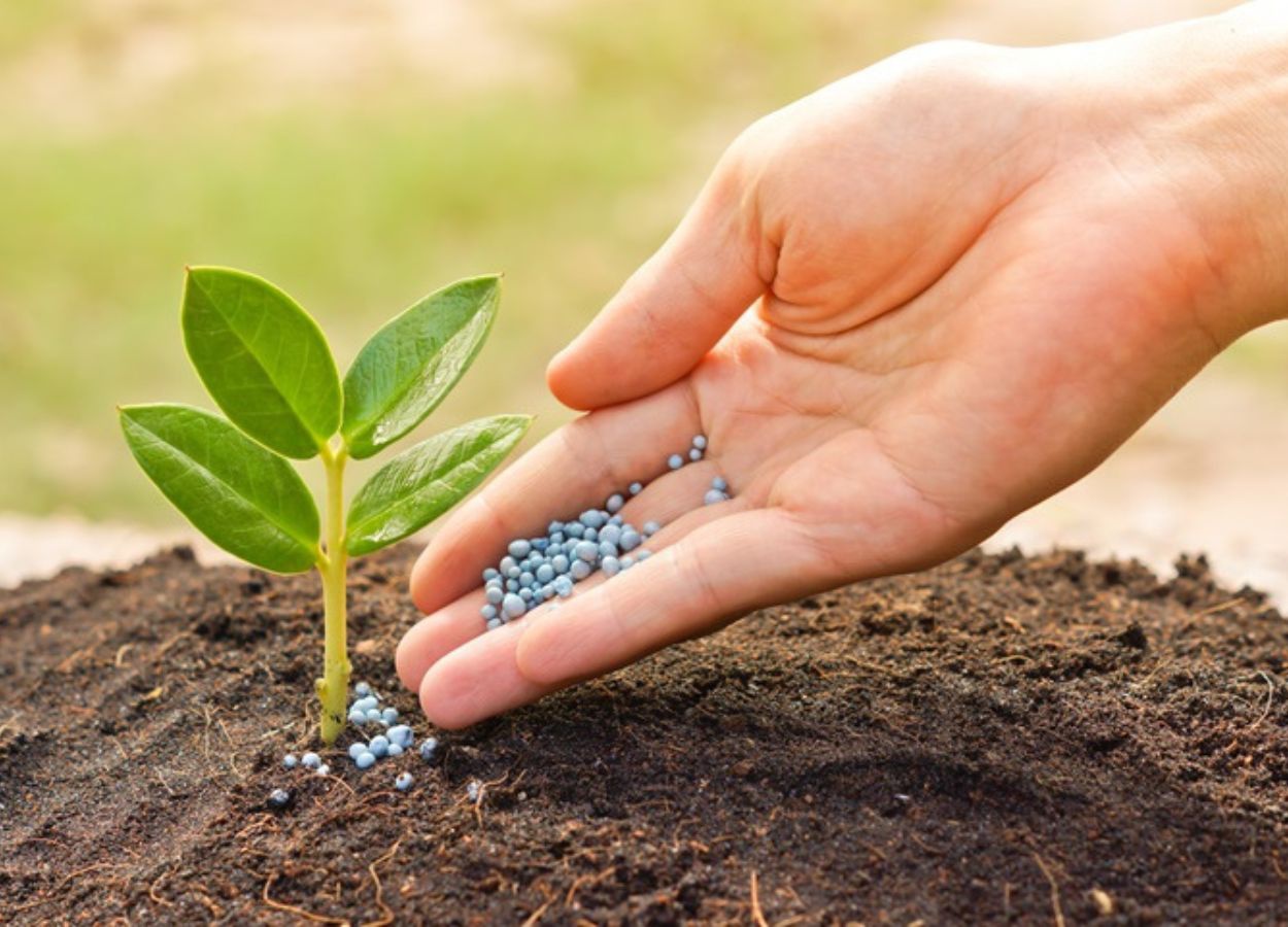 Risco de restrição preocupa o mercado global de fertilizantes