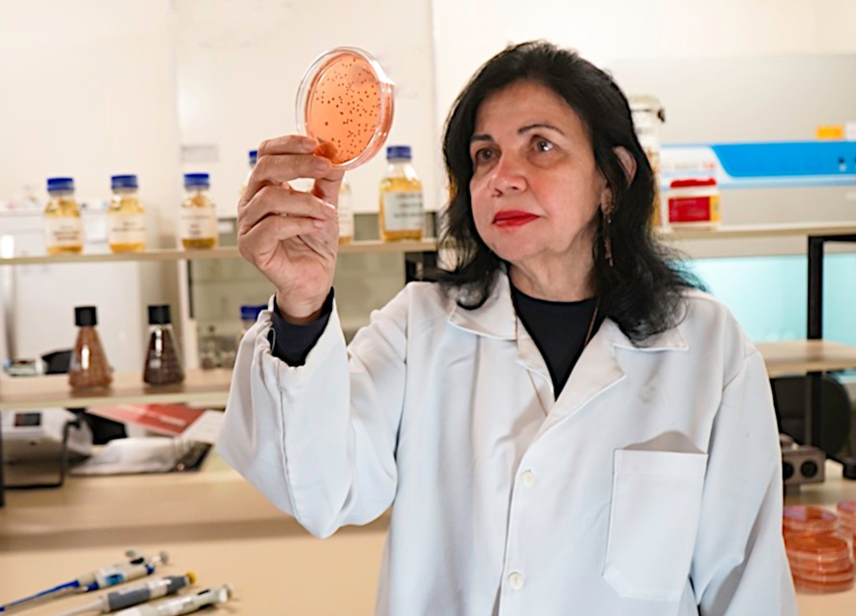 Mariangela Hungria recebe o World Food Prize 2024