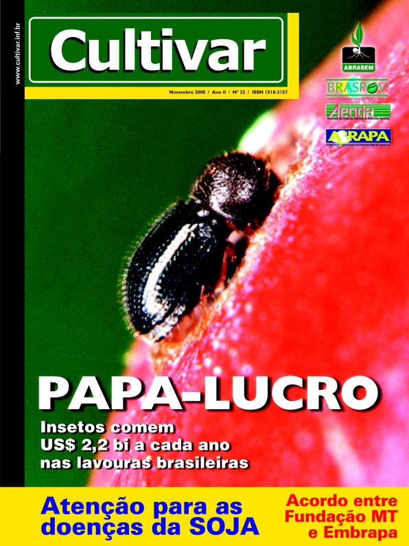 Papa-lucro