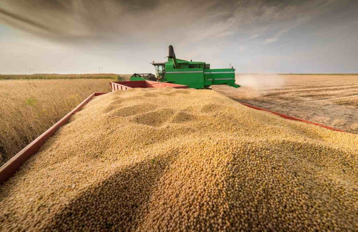 Até maio, produção brasileira de soja é estimada em 153,2 milhões de toneladas pela Abiove