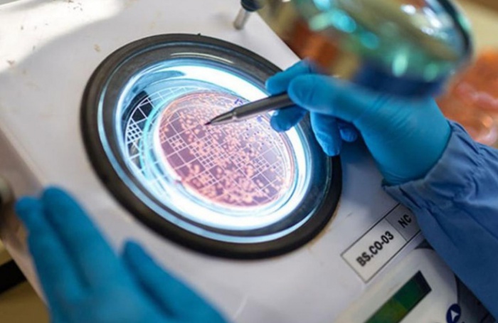 Pesquisa confirma ganho de produtividade com bioinsumos na soja