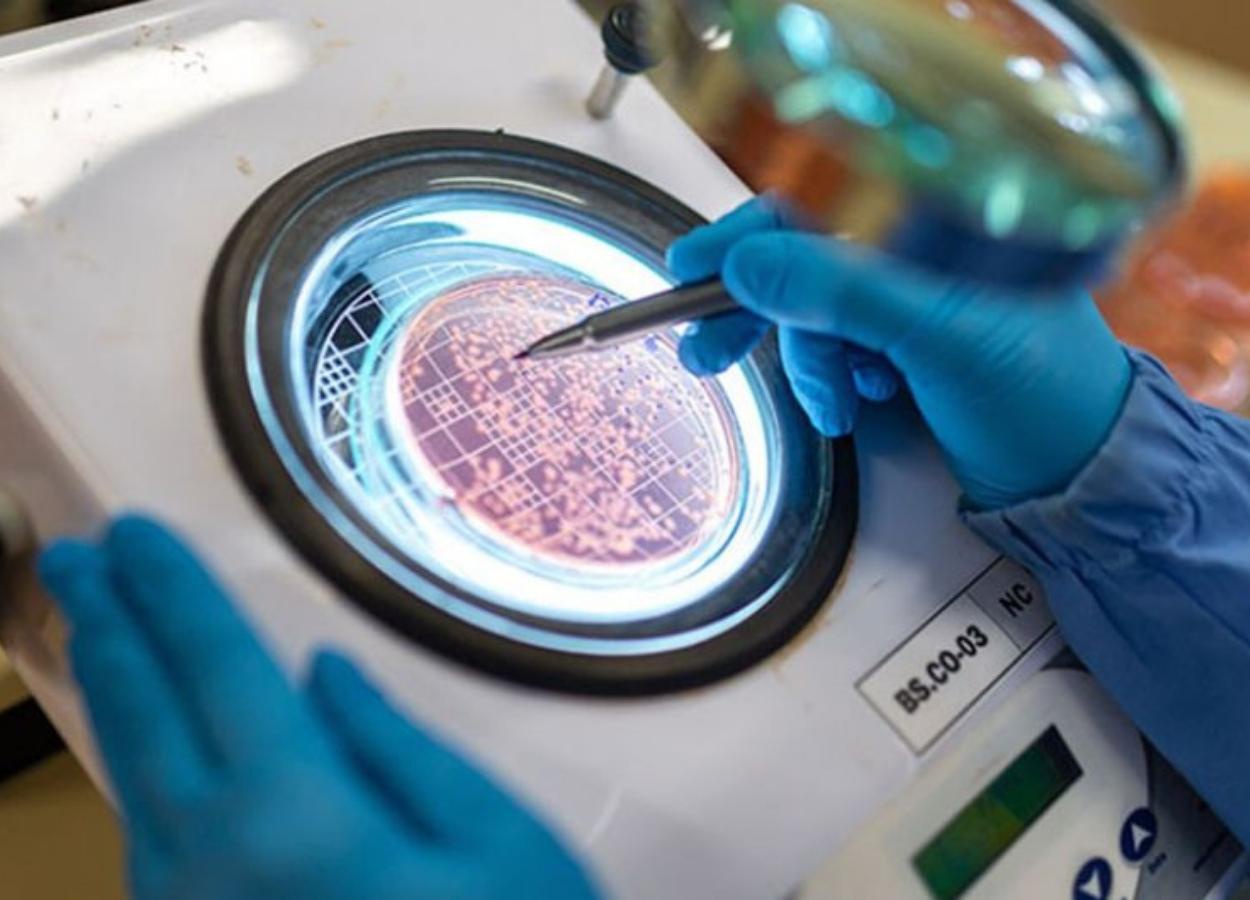 Investigación confirma ganancias de productividad con bioinsumos en soja.