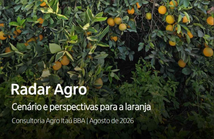 Citricultura inicia safra 2026/27 com margens pressionadas