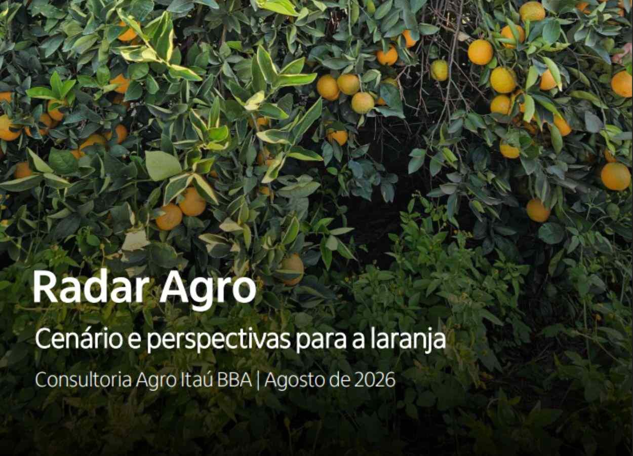 Citricultura inicia safra 2026/27 com margens pressionadas