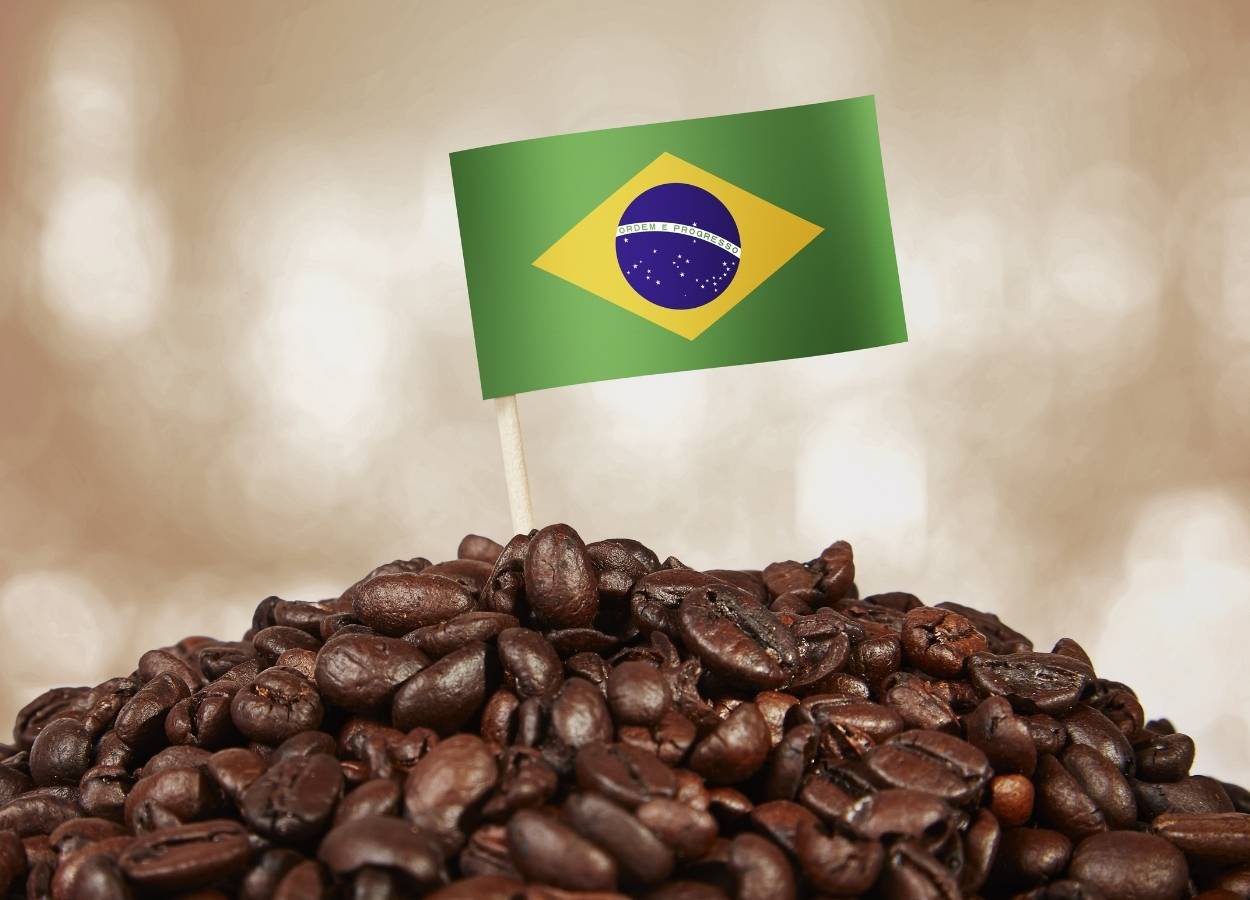 La récolte de café 2026/27 au Brésil devrait augmenter de 13,5 %.