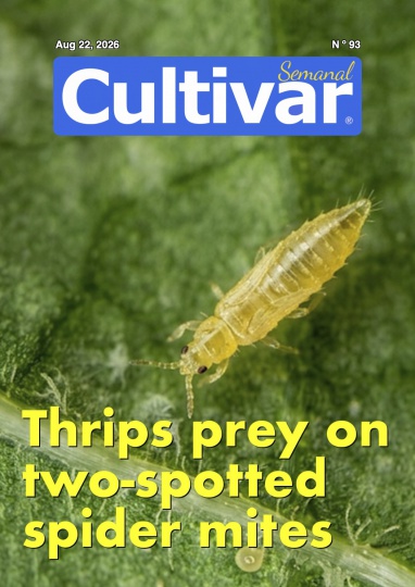Cultivar Semanal 93