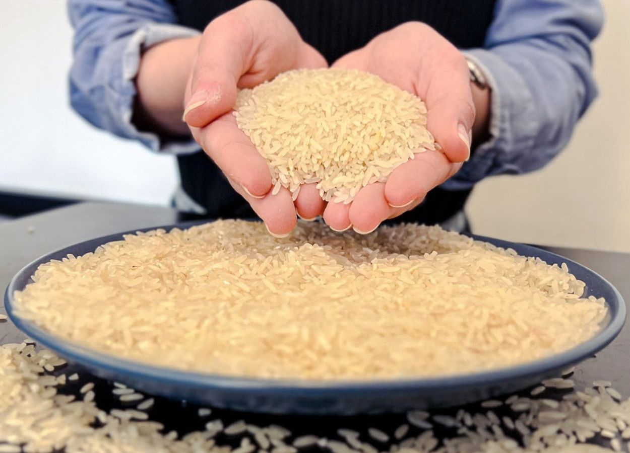 Indústrias catarinenses já registram preços na faixa de R$ 58 e SindArroz-SC prevê dificuldades para próxima safra