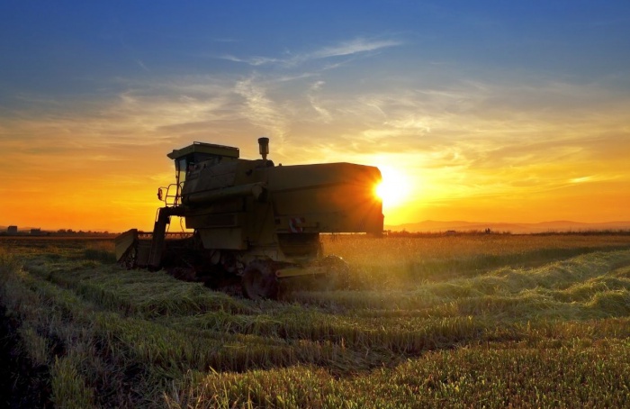 PIB do Agronegócio mantém queda no segundo trimestre, acumulando recuo de 3,5% em 2024