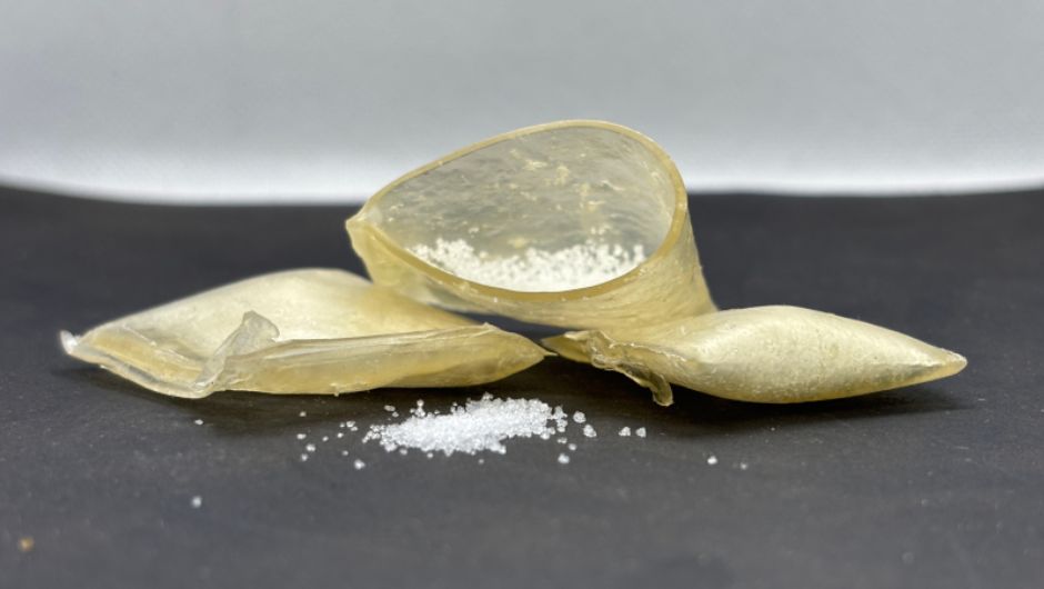 Foto: João Otávio Donizette Malafatti