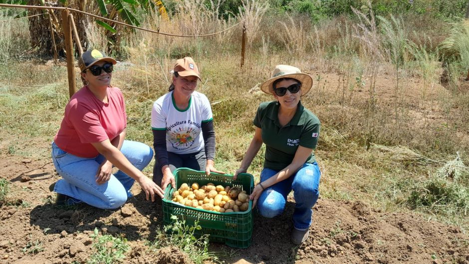 Foto: divulgação