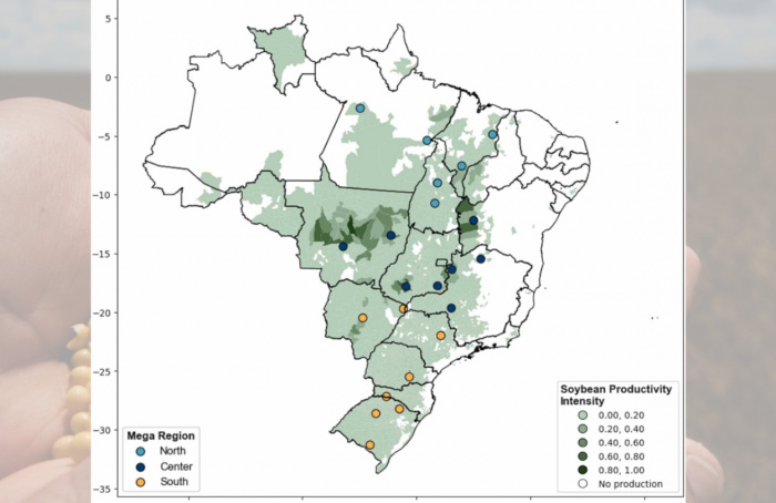 Mudanças climáticas podem aumentar severidade de mancha-alvo em soja