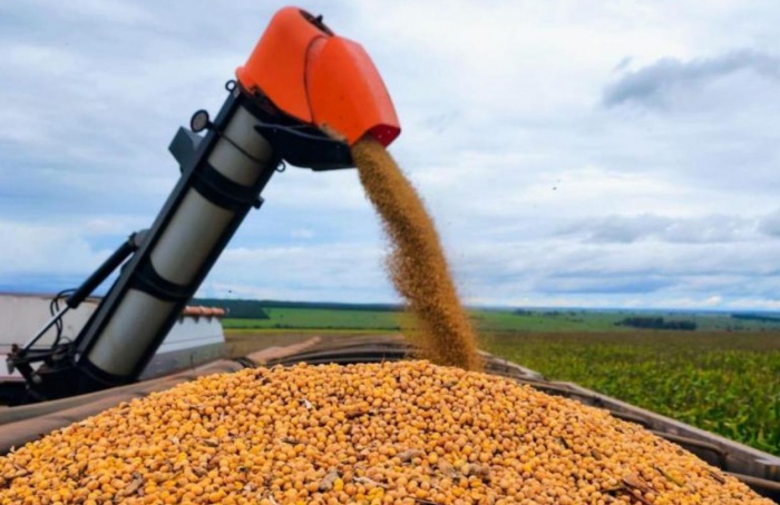 MS Safra 2025/26: colheita da soja atinge 82%