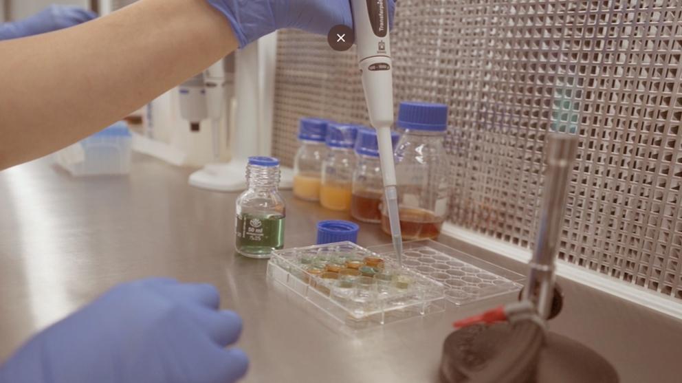Biossegurança impulsiona crescimento da produção de biológicos