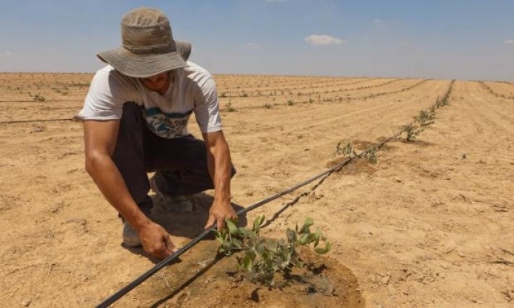 Técnicos viajam a Israel para ampliar conhecimentos sobre irrigação no deserto