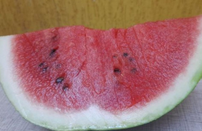 Produção de frutas no RS cresce no verão e impulsiona consumo