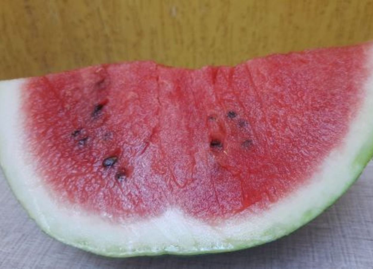 Produção de frutas no RS cresce no verão e impulsiona consumo