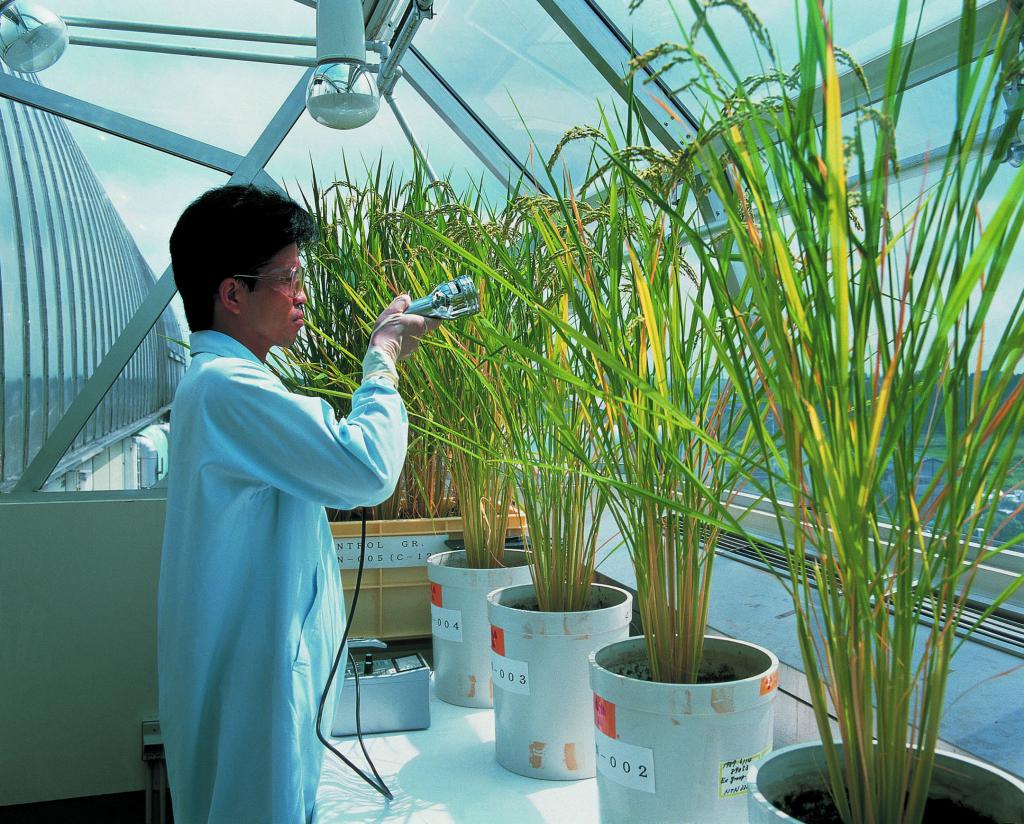 Bayer faz oferta para adquirir Monsanto e criar líder global na agricultura