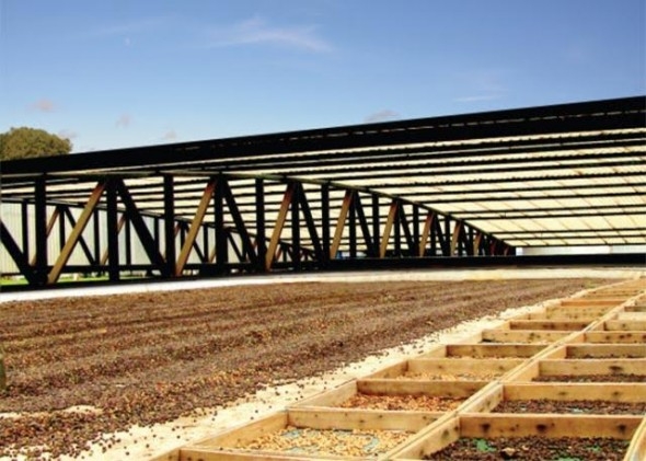 Embrapa Rondônia leva tecnologias para a Feira Portoagro, em Porto Velho
