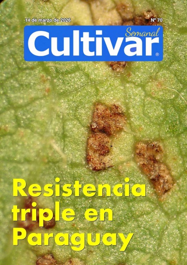 Cultivar Semanal 70