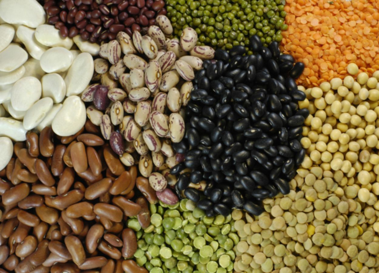 Exportações brasileiras de pulses crescem 30% em 2025