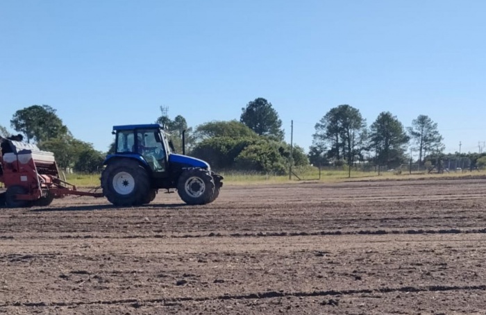 Áreas da Abertura da Colheita do Arroz 2027 recebem manejo