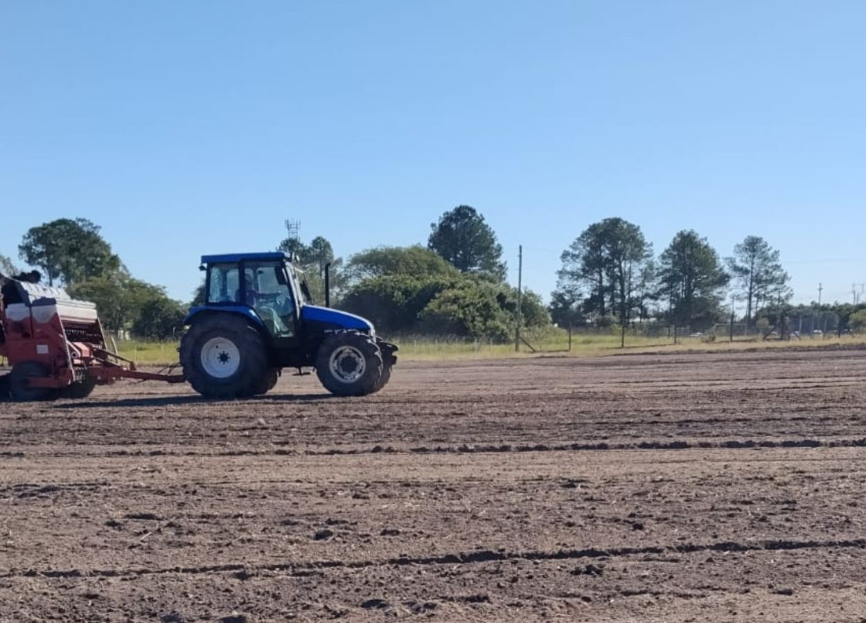 Áreas da Abertura da Colheita do Arroz 2027 recebem manejo
