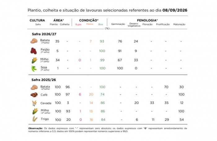 PR Safra 2025/26: clima dita ritmo da colheita do trigo