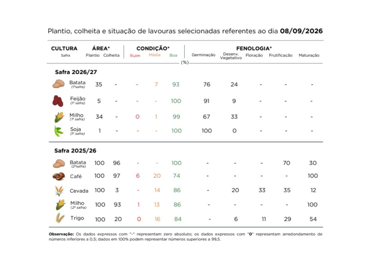 PR Safra 2025/26: clima dita ritmo da colheita do trigo