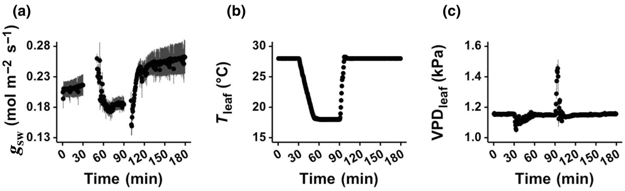 A condutância estomática (gsw) do tipo selvagem (WT) Col-0 muda reversivelmente em resposta a mudanças de temperatura. <b>(a)</b> A condutância estomática (gsw) resolvida no tempo muda em resposta a <b>(b)</b> mudanças na temperatura da folha (Tleaf) nas folhas Col-0 WT (n = 4) enquanto <b>(c)</b> a diferença de pressão de vapor folha-ar (VPDleaf) foi mantida. As medições foram realizadas sob 450 μmol m−2 s−1 de luz vermelha combinada com 50 μmol m−2 s−1 de luz azul, uma concentração de CO2 de 400 μmol mol−1 e c. 1,2 kPa de diferença de pressão de vapor folha-ar. Os registros da condutância estomática não são mostrados imediatamente durante a transição de temperatura