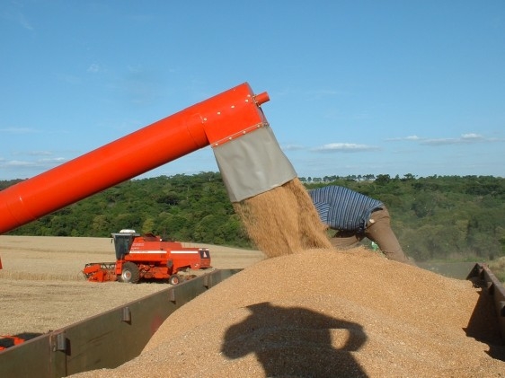 Brasil não explora todo seu potencial científico, afirma líder em produção de sementes