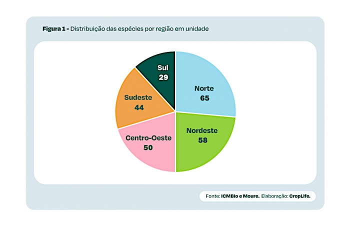 Brasil possui 93 espécies de abelhas sem ferrão mapeadas