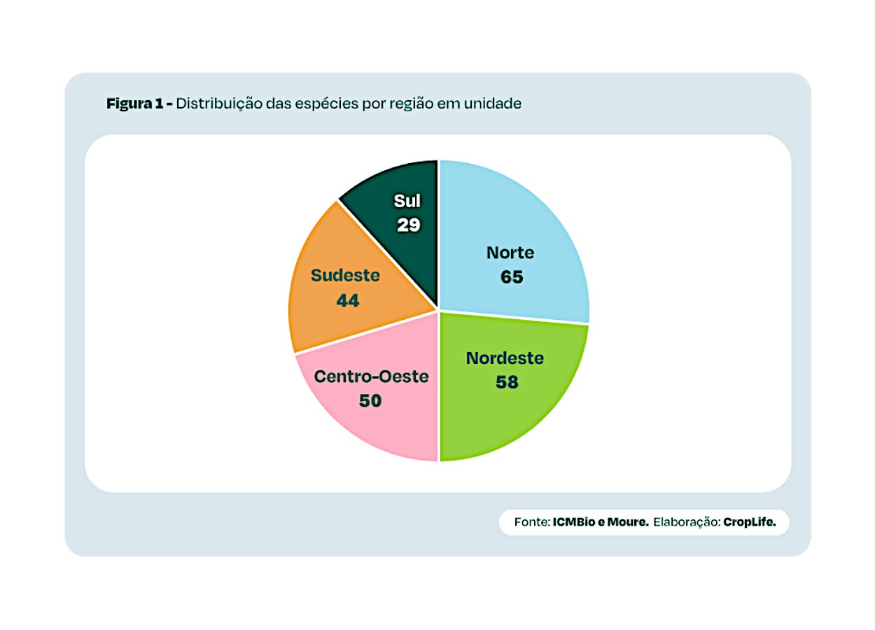 Brasil possui 93 espécies de abelhas sem ferrão mapeadas