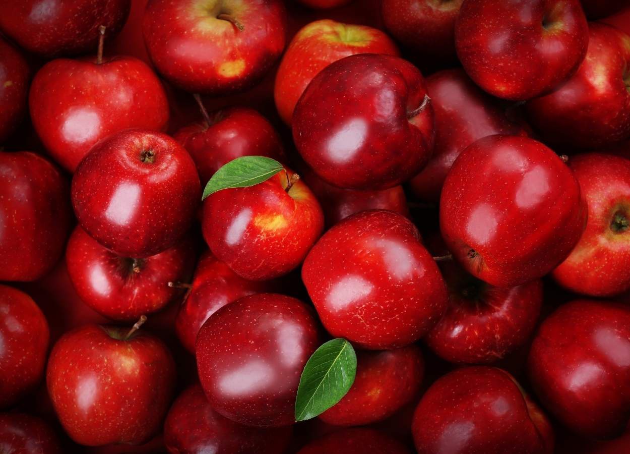 Conab aponta queda nos preços da maçã nas Ceasas