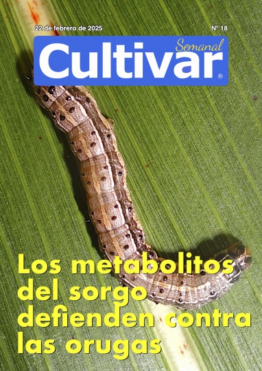 Cultivar Semanal 18