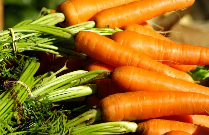 Cenoura apresenta alta superior a 90% no preço