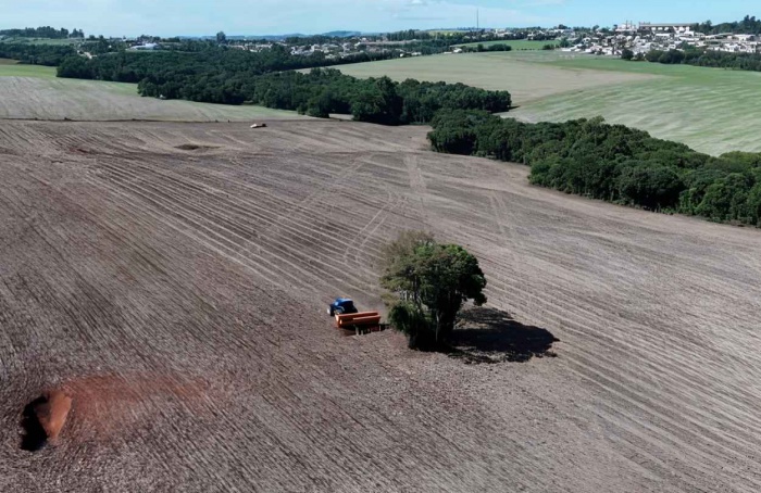 RS Safra 2025/26: culturas de inverno avançam no campo