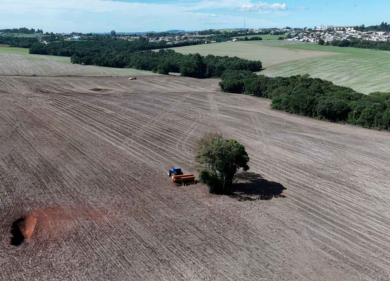 Informativo da Emater/RS aponta inicio do plantio da canola e da aveia; colheita da soja se aproxima dos 95% da área total