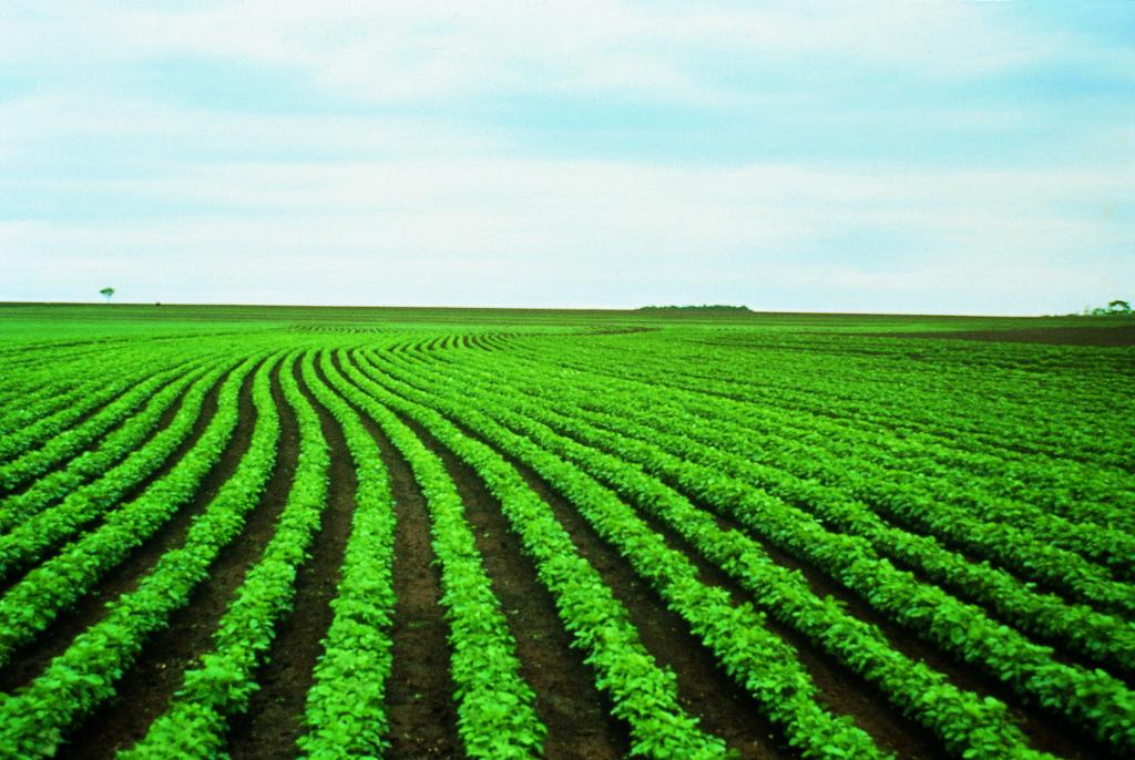 Parceria entre Sistema Farsul e Bayer promove informação e proteção para quem está no campo