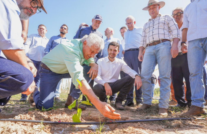 Governo de Goiás lança projeto de Fruticultura Irrigada do Vão do Paranã